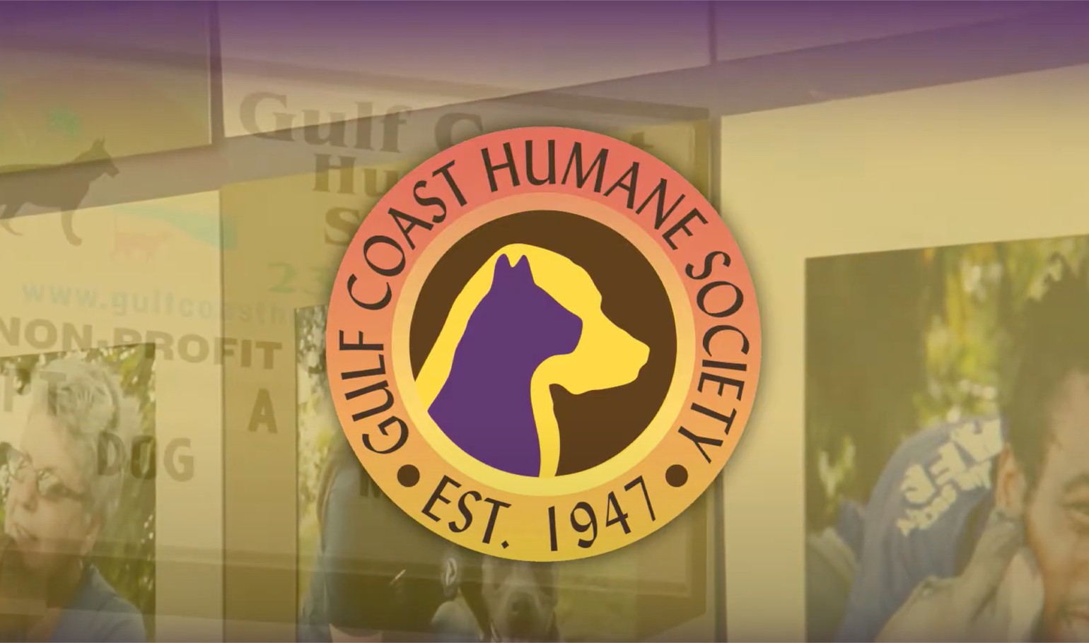 Gulf coast humane society vet how employees does conduent has