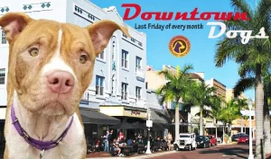 Downtown Dogs Working Copy 1 1 Orig 300x177