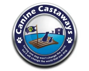 Canine Castaways Jpg E1681753748587
