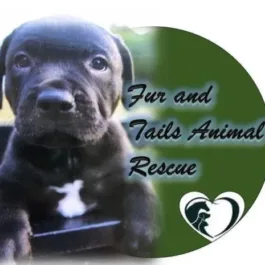 Fur And Tails Rescue Jpg E1681753859687