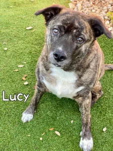 Lucy 7.25.23 225x300
