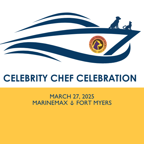 Copy Of CELEBRITY CHEF LOGO WITH DATE AND VENUE 1920 X 1080 Px Logo 1