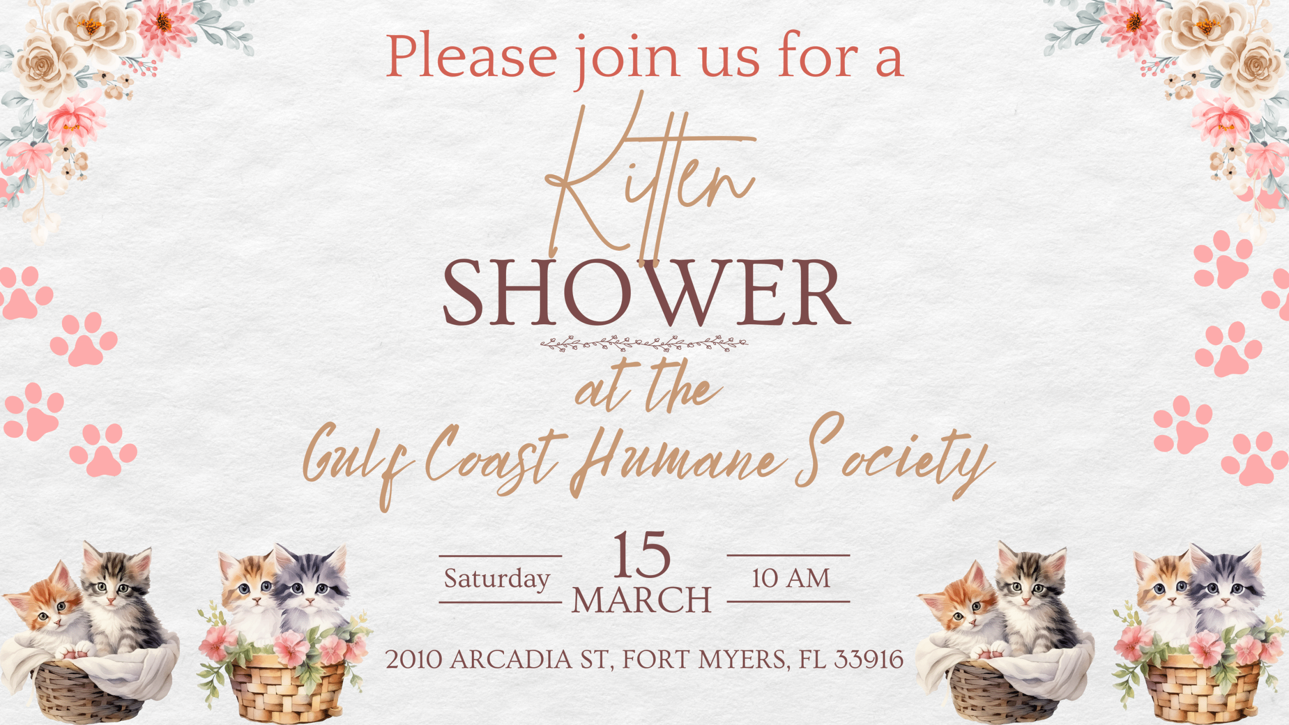 Gulf Coast Humane Society Kitten Shower