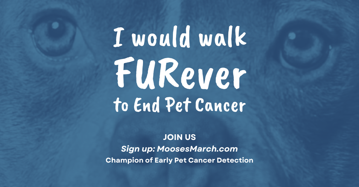 Moose's March. I would walk FURever to end pet cancer.