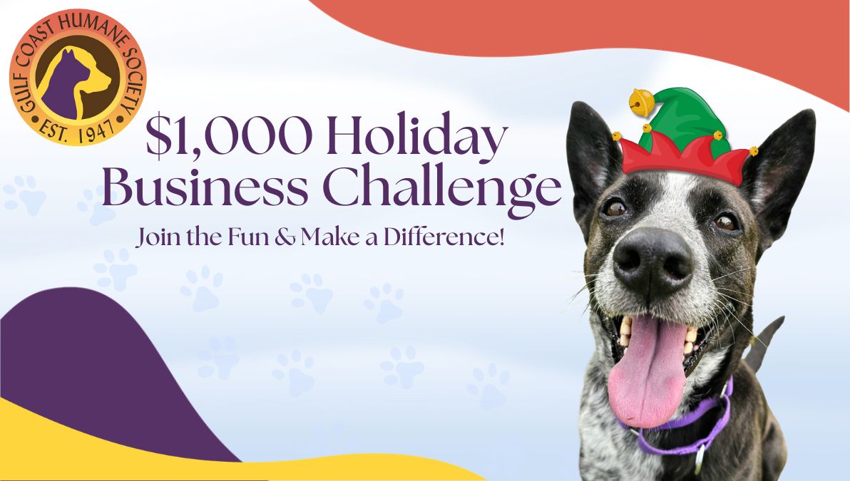Gulf Coast Humane Society Holiday Business Challenge