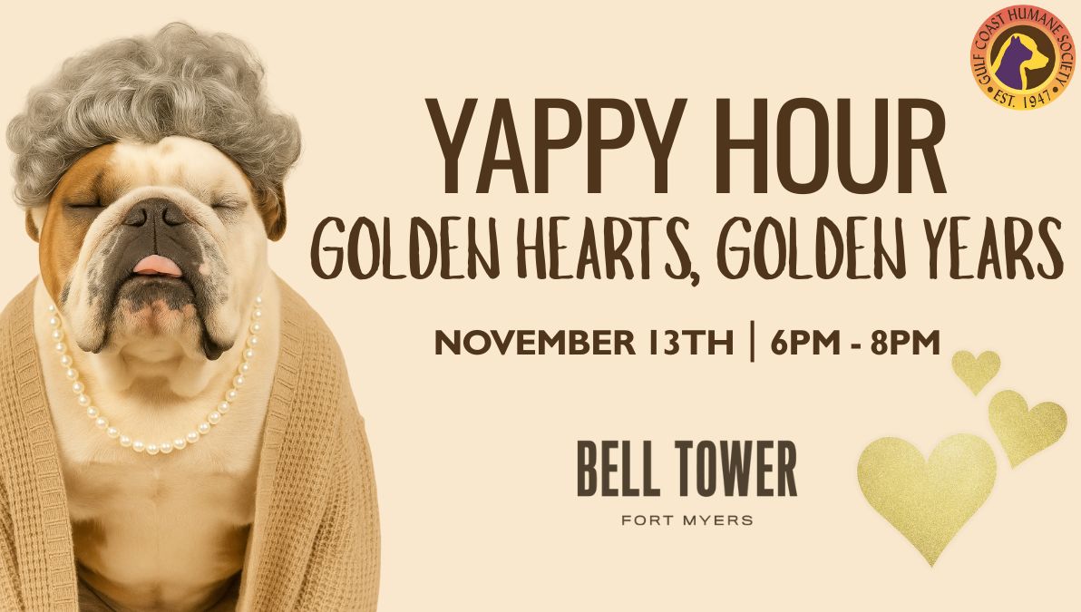 Golden Hearts, Golden Years Bell Tower Yappy Hour