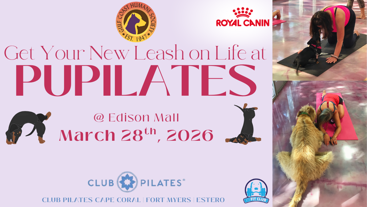 Pupilates at Edison Mall