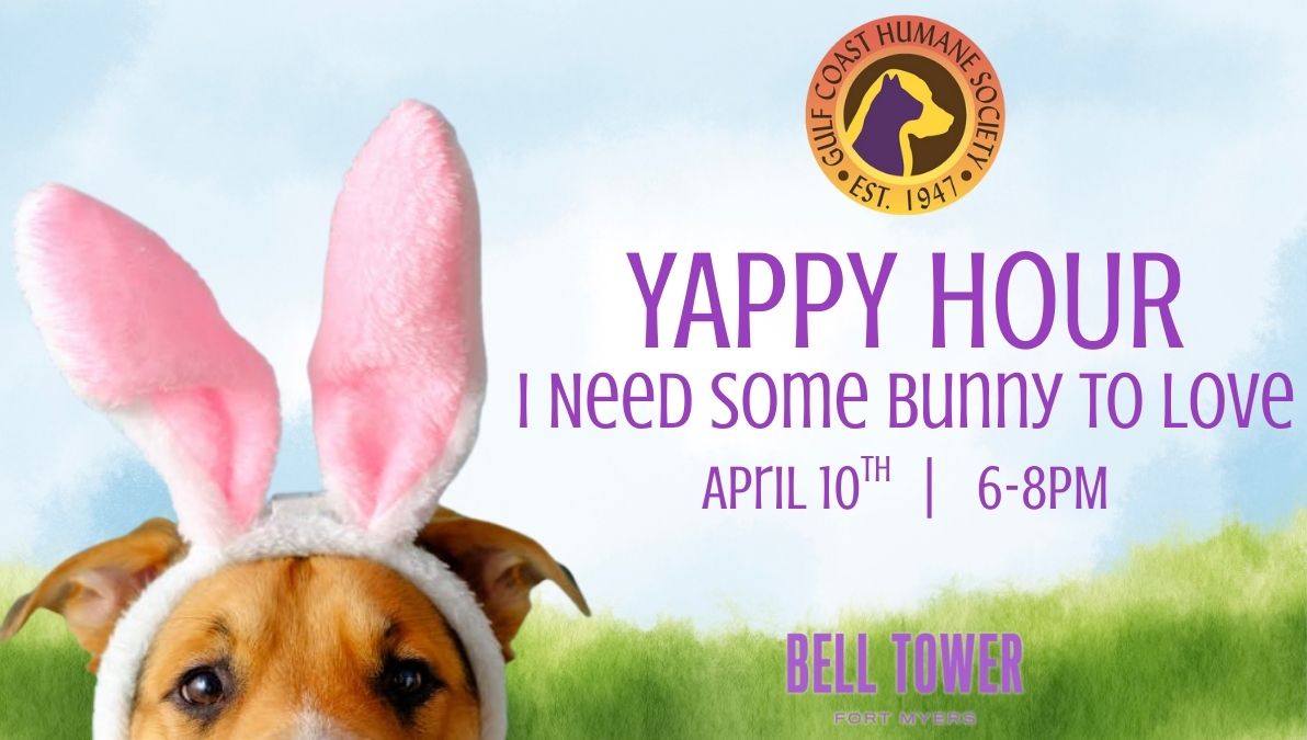 I Need Some Bunny to Love Bell Tower Yappy Hour