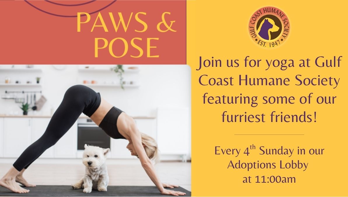 Gulf Coast Humane Society Paws and Pose Event