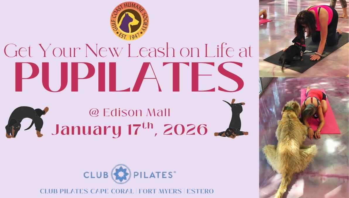 Pupilates at Edison Mall