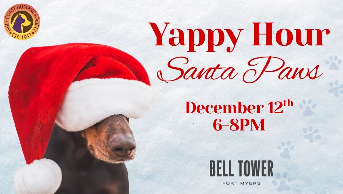 Bell Tower Yappy Hour Santa Paws