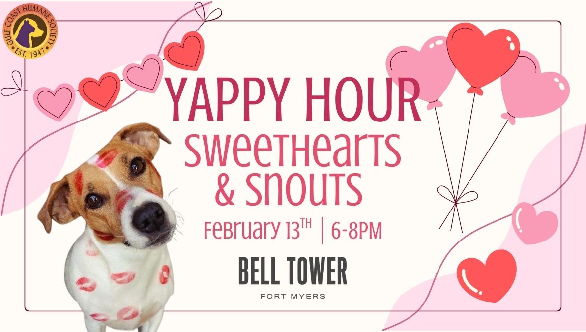 Sweethearts and Snouts Bell Tower Yappy Hour
