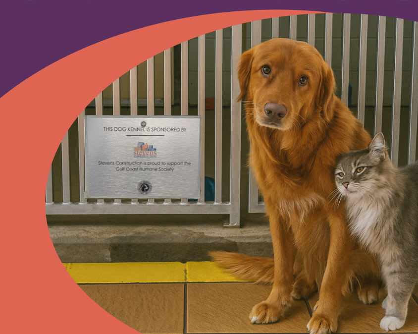 Give to the Gulf Coast Humane Society by Sponsor a Dog Kennel or Cat Room