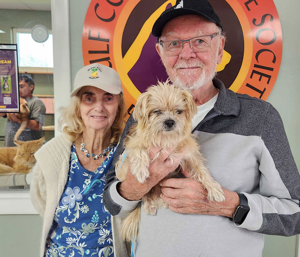 Give to the Gulf Coast Humane Society by supporting the Silver Paws VIP Program