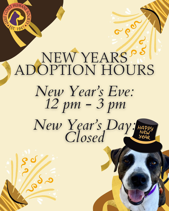 New Years Adoption Hours | Gulf Coast Humane Society