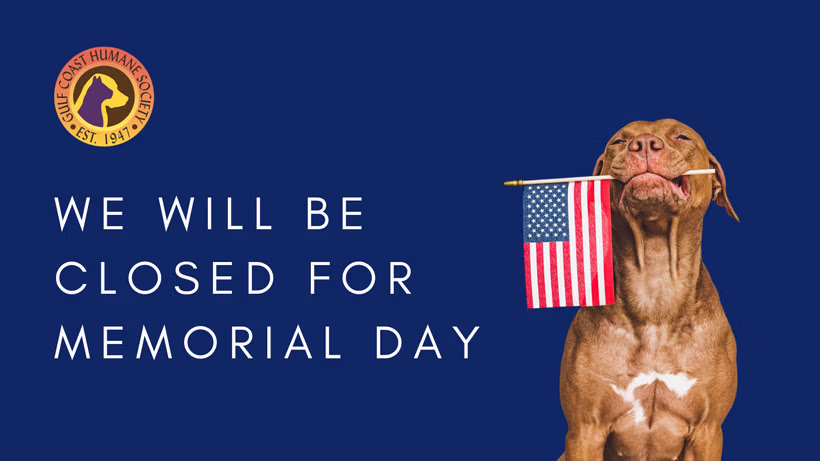 Closed for Memorial Day | Gulf Coast Humane Society