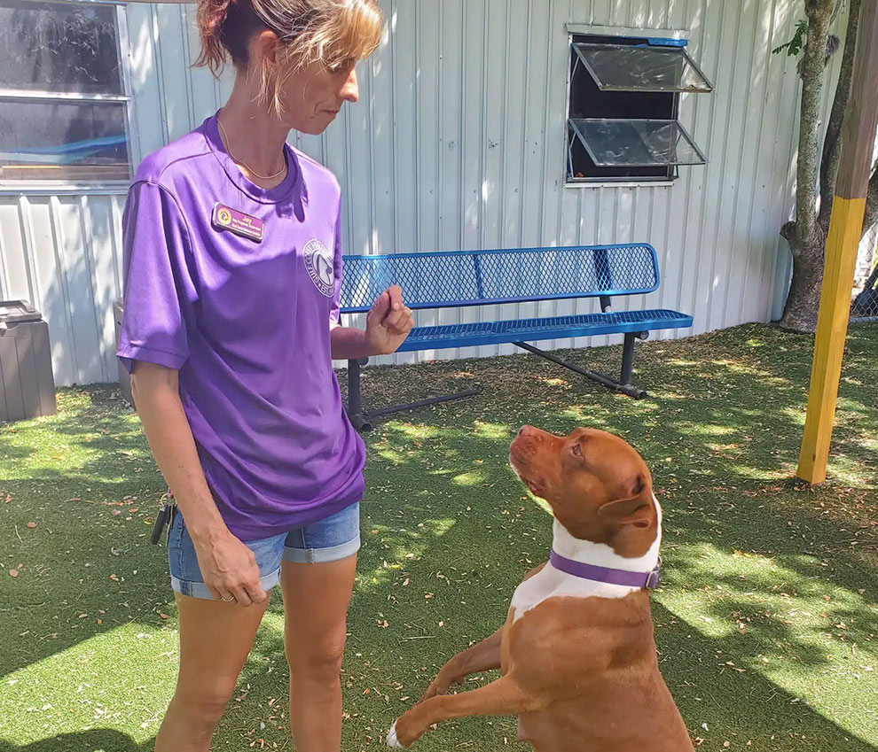 Behavior Support Resources for dogs provided by the Gulf Coast Humane Society
