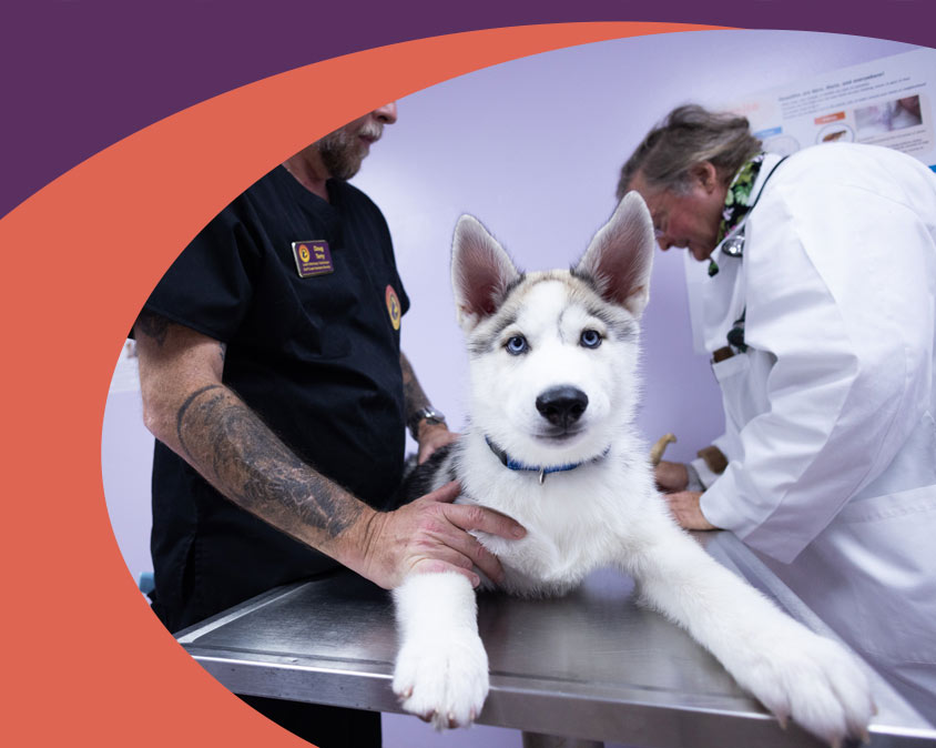 Gulf Coast Humane Society Fort Myers Veterinary Clinic