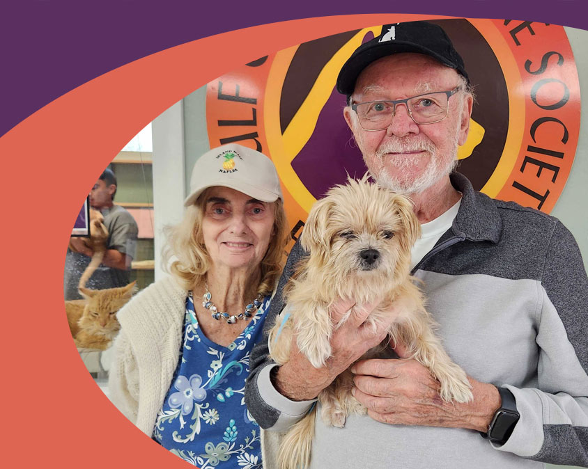Gulf Coast Humane Society Programs: Silver Paws VIP