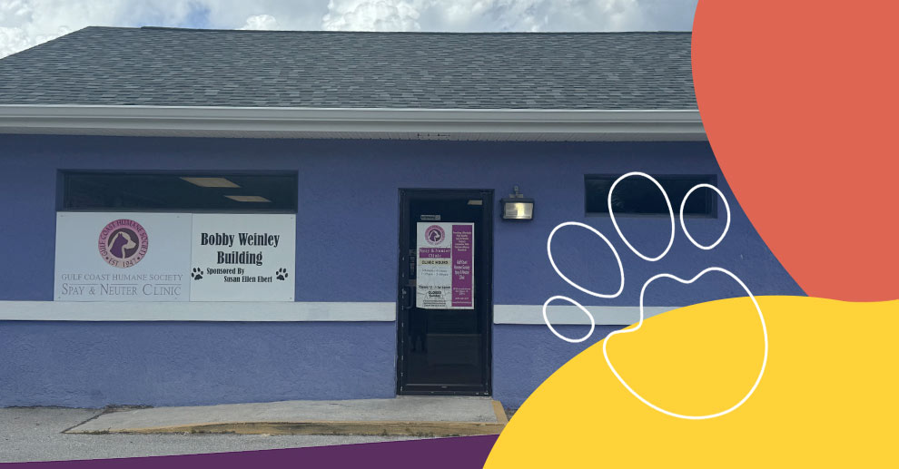 Gulf Coast Humane Society Spay and Neuter Clinic Fort Myers Location