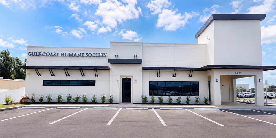 Gulf Coast Humane Society Fort Myers Veterinary Clinic Location