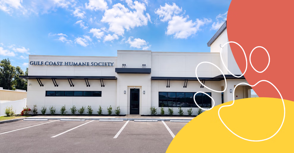 Gulf Coast Humane Society Fort Myers Veterinary Clinic Location