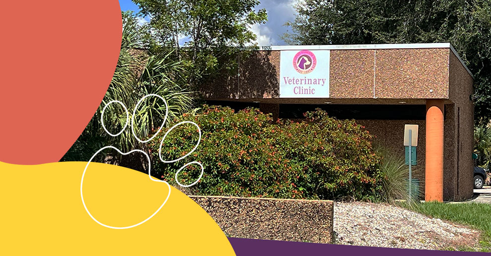 Gulf Coast Humane Society Fort Myers Veterinary Clinic Location