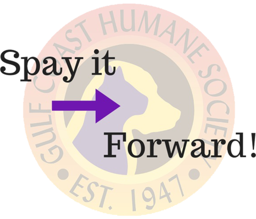 Spay It Forward Gulf Coast Humane Society Program Logo