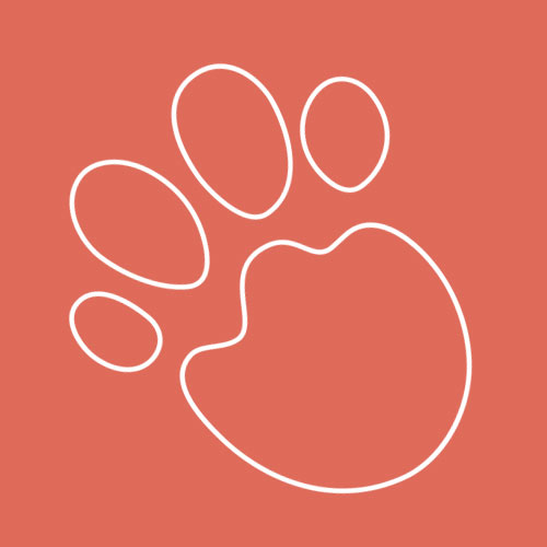 Team Member Placeholder Photo